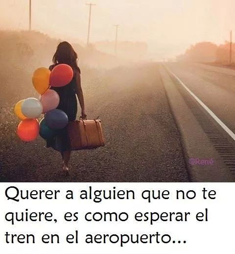 Maria Blanco tweet media