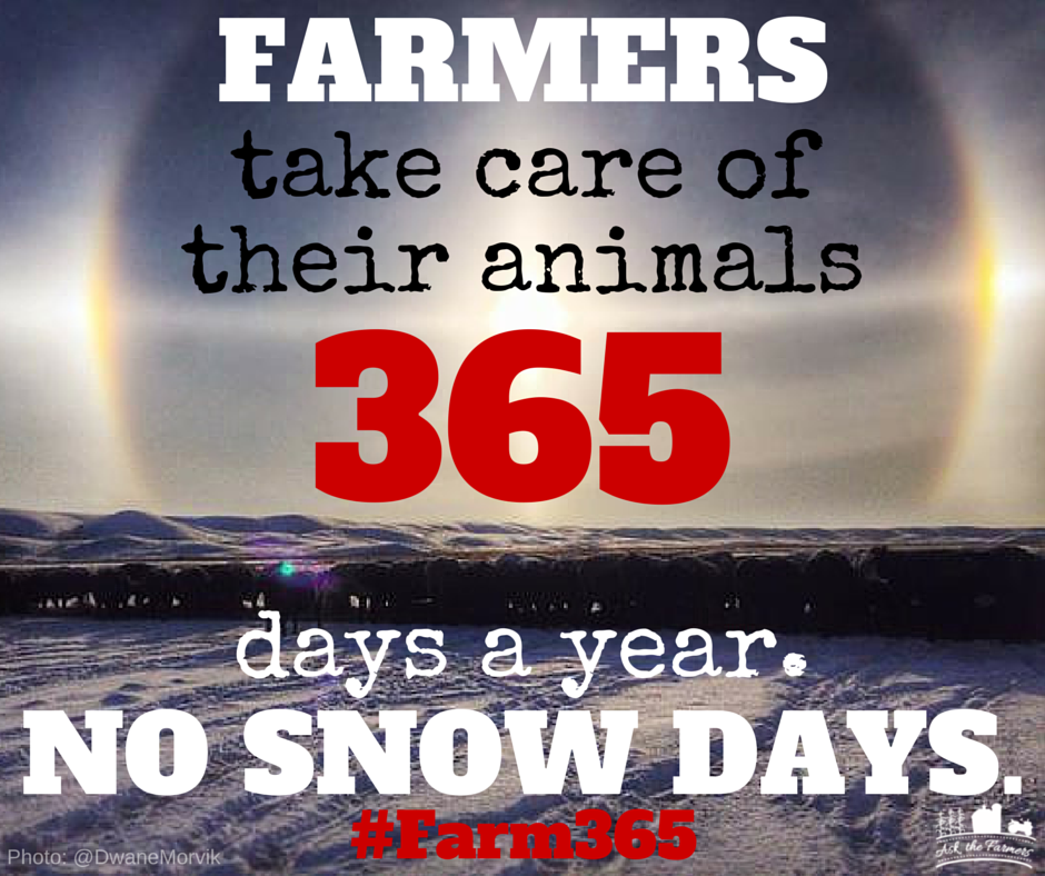 AskTheFarmers's tweet photo. Thanks to all the farmers out there in the cold caring for your animals. No snow days for farmers. #farm365 #agproud http://t.co/WUb4ajHqsk