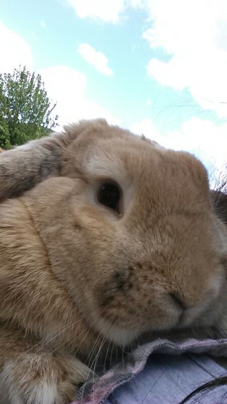 2001Jane125's tweet image. 