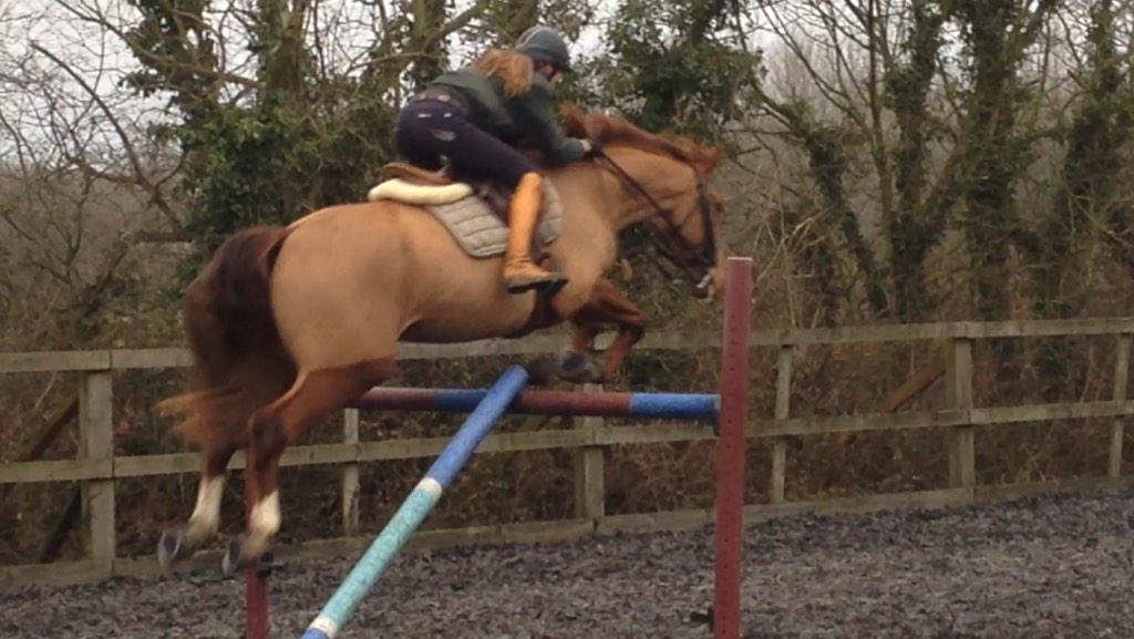 IndiaBusseyEQ's tweet image. @wodehousestud Wodehouse Phoenix showing us what he can do today! @Feedmark @PaulCBussey @AtiyaBussey #talented #1m30