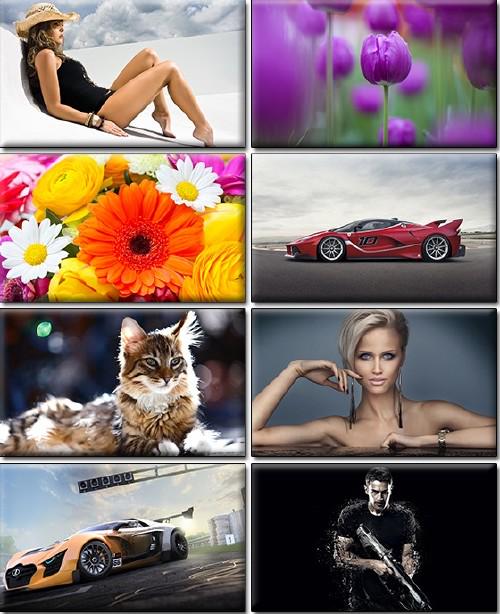 BestFiles's tweet image. best-files.pl/img/579-comput…