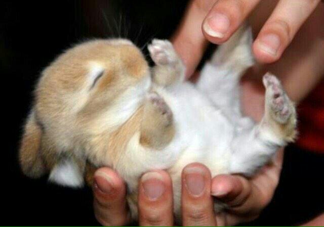 simococ123443's tweet image. 3 days of life ....::)))