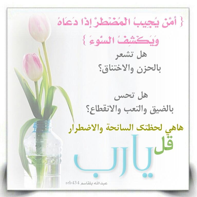 عبدالعزيز الخالدي tweet media