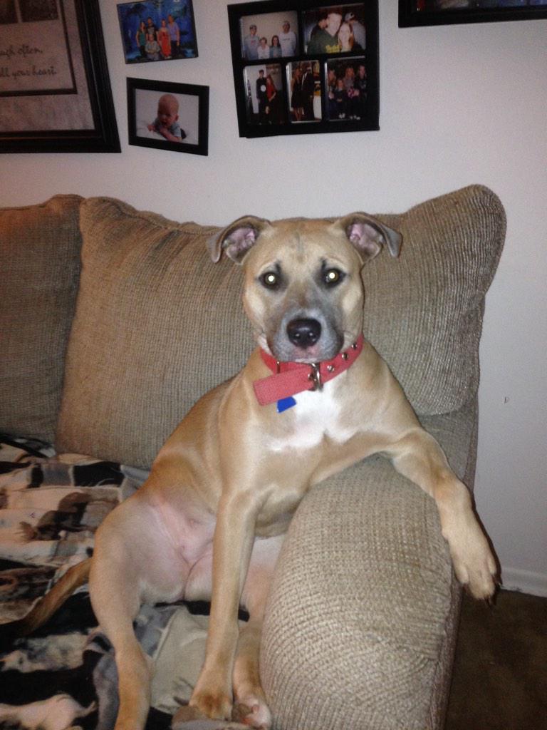 BoxingScience's tweet image. 😀