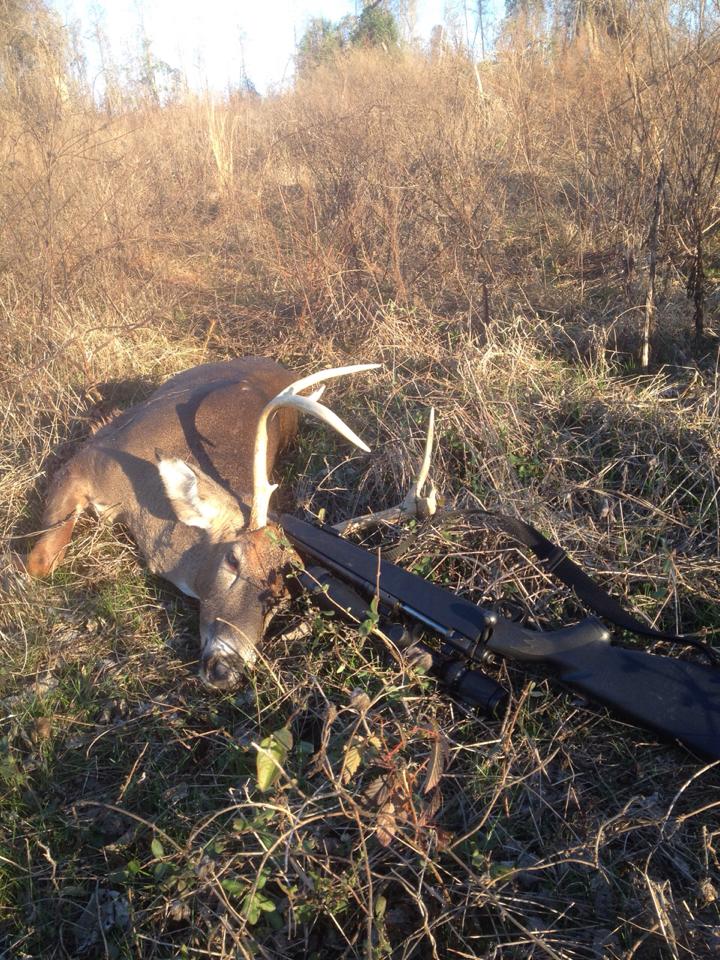 TheTermitePro's tweet image. My Christmas Day buck. He slipped up on the gas line at Bear Creek Hunting Club