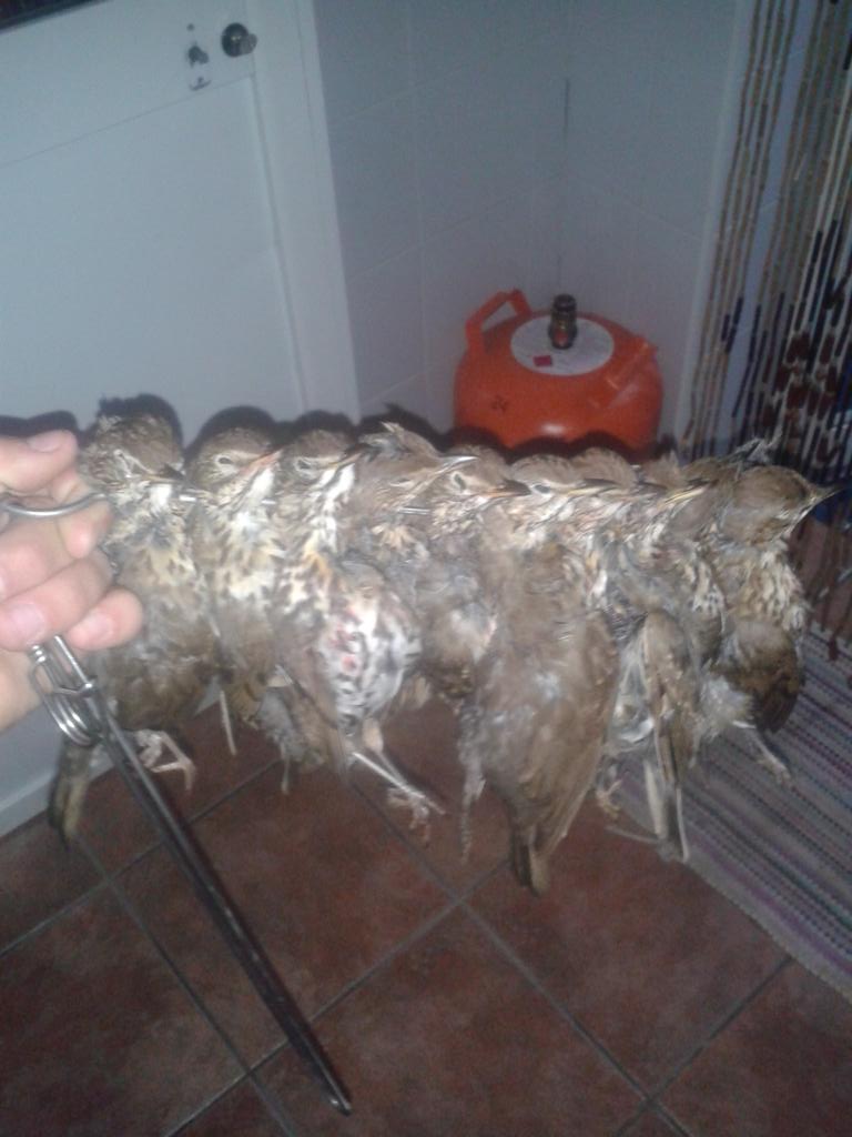 Juanperezsantana tweet media