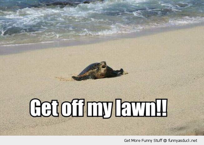 B6sEjZ7IEAEvHVo.jpg