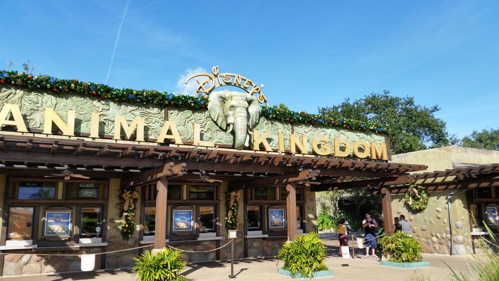 Hamletgarcia17's tweet photo. brave #Fifi by herself   at the   #YetiRide 🎢🎢  #Animalkingdom @Disney http://t.co/h1q1xVo7uf