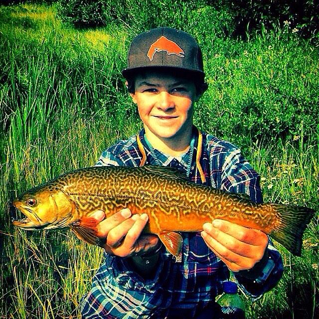 flyshopsmall's tweet image. @troutbumtoo #FlyShop rats actually exist 1 day you will be taking casting advice from them #Flyfishing #FlyShopSmall