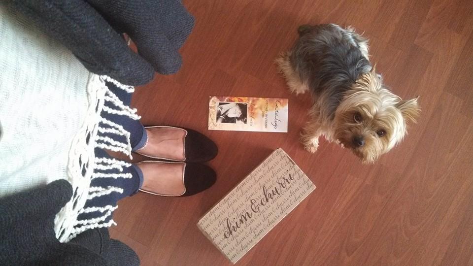 Chimichurri Alpargatas Online Shop, UP TO 61% OFF | agrichembio.com