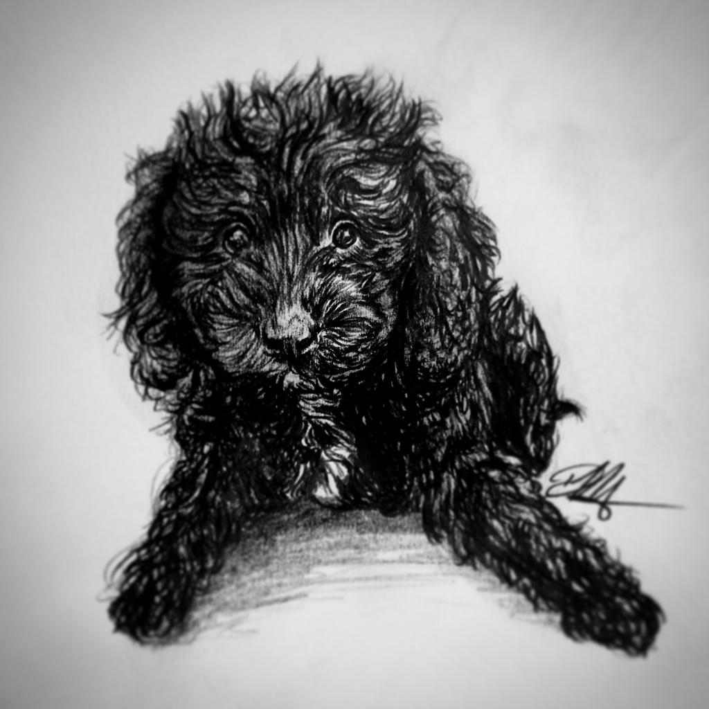 DaArtiMari's tweet photo. @basicbeautweets @ijustine @jennaezarik @breanneezarik just drew #basicbeau no big deal 😄 http://t.co/FajEmLYife http://t.co/QQRwGR0onM