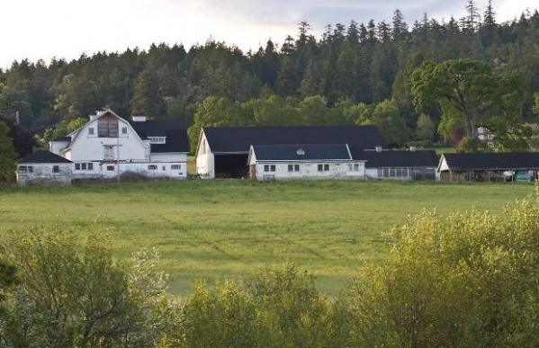 HSMInsurance's tweet image. There's a surprising number of farms here in #yyj! Make sure you have the right #FarmInsurance ow.ly/GT9bm