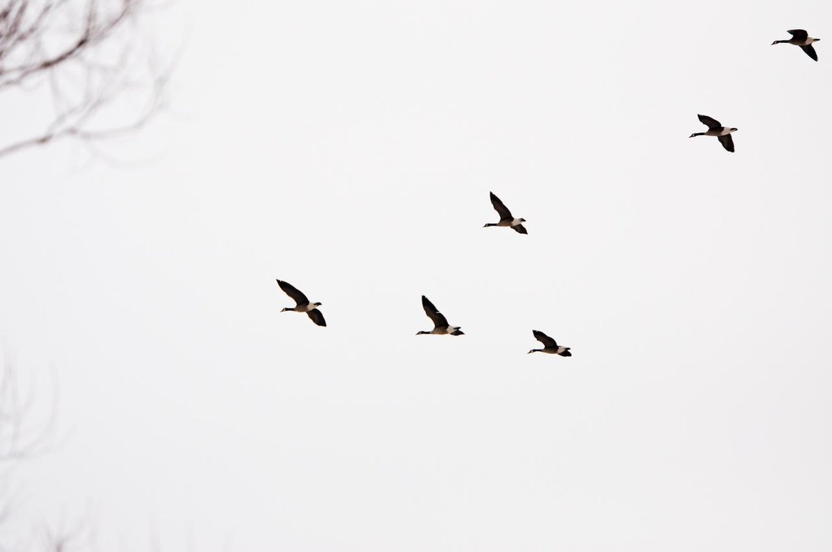 Drawitsgomez's tweet image. Ante cada obstaculo, ten paciencia