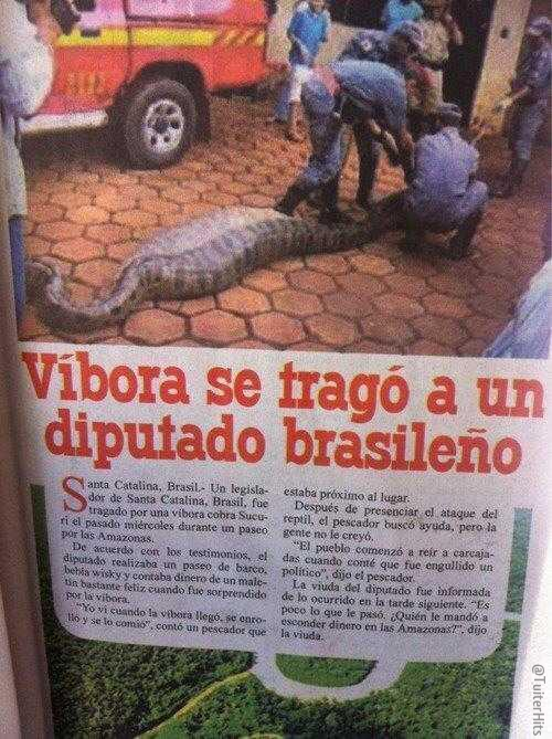 TuiterHits's tweet photo. Necesitamos víboras, muchas víboras. http://t.co/cnxts7t5pu