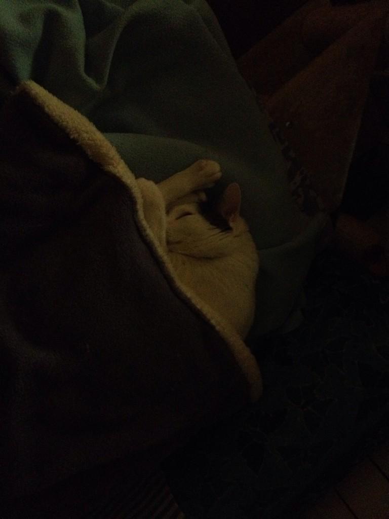 emagobbi's tweet photo. #buonanotte #crash #bellavita http://t.co/A0yW5PwWGi