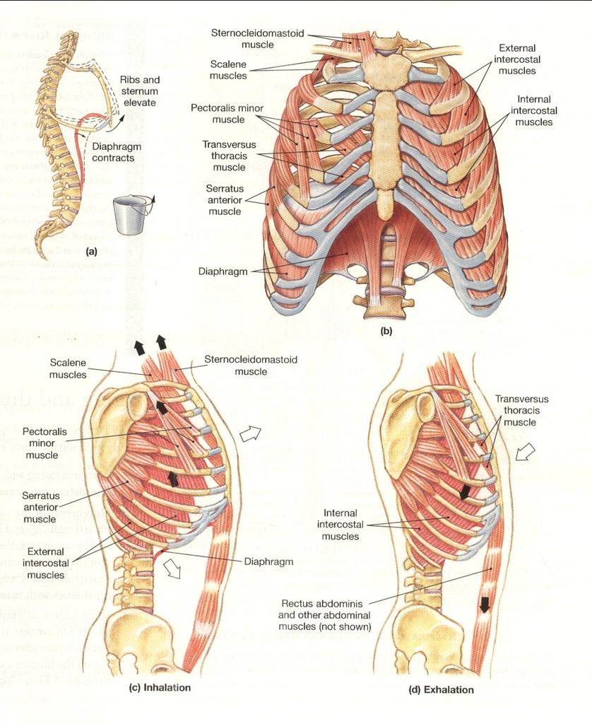 Gambar tambahan <a href="/FKUNIMAL13/">FKUNMAL13</a>