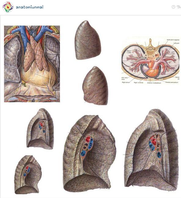 Gambar di lab part 2 <a href="/FKUNIMAL13/">FKUNMAL13</a>