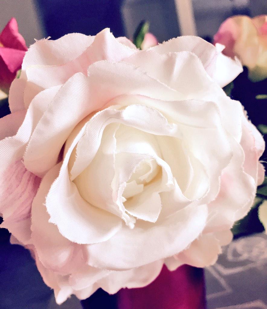 olkasu's tweet image. Merry Orthodox Christmas!! Love and peace to all! Светлого Рождество Христова! Мира и любви всем!!