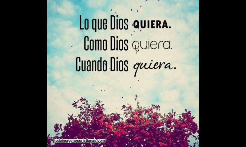 ministrodairo's tweet photo. Benfición. Señor que se haga tu Voluntad. http://t.co/EnMZ0LYwFY