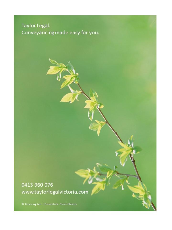 Taylor_Legal's tweet photo. Buying or selling property in 2015? Call @TaylorLegal and let us make it easy for you. http://t.co/nbd0P3Hy2b