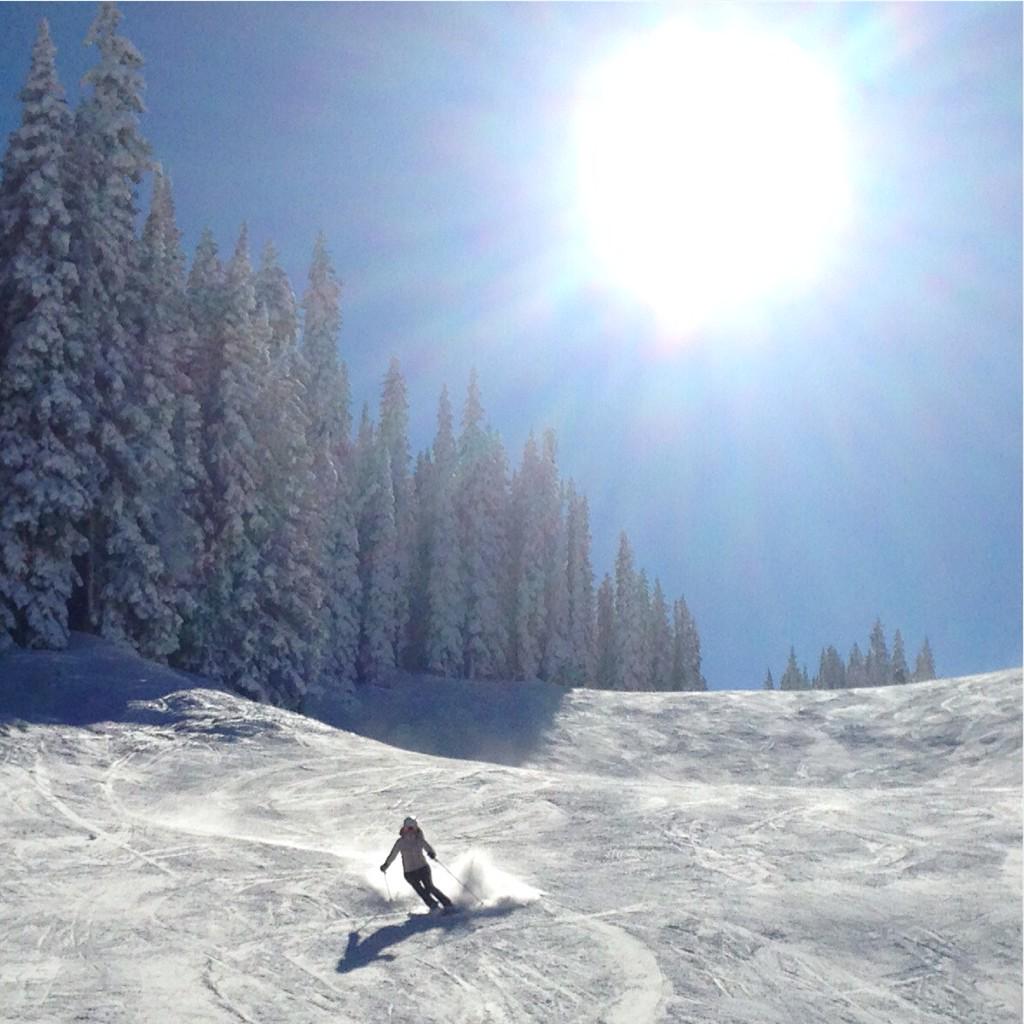 Bluebird #aspen 💙