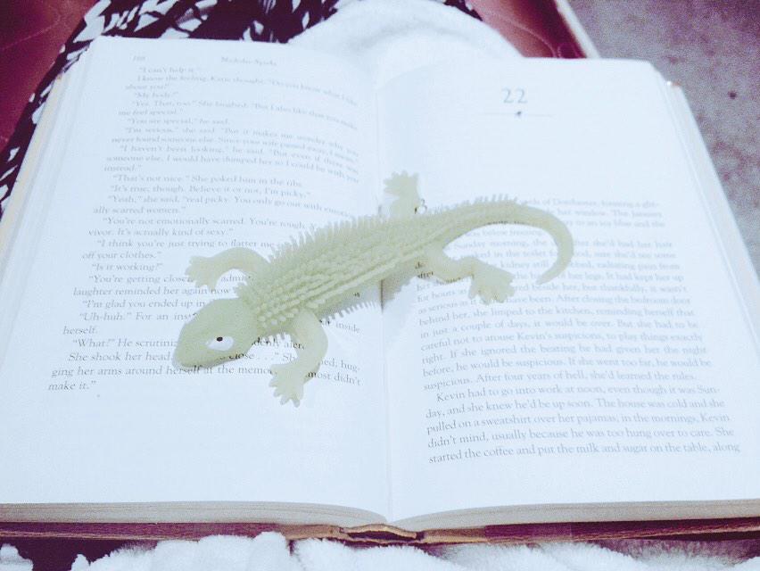 GeniusJane's tweet photo. Apparently Noah's lizard is as interested as I am with finishing up @NicholasSparks Safe Haven. :) #feelgoodreads http://t.co/ETlE6lRWHJ