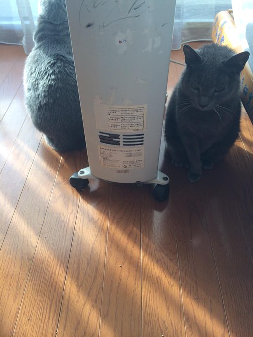 かくれんぼ中 