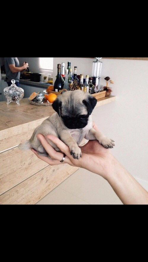 tbhcuties's tweet photo. So cute and adorable😘 http://t.co/y2zuMNqwZj