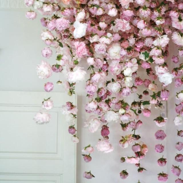 pasteldress's tweet photo. Even the walls can sometimes use a little flower decor 😄🙌🌸🌸🌸 #pasteldressparty http://t.co/97CqlzFei4 http://t.co/bFBnRqQXvd