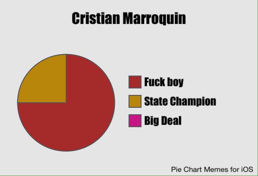 VrhsPies's tweet photo. NBDs pie chart http://t.co/TeeUY9j6KT