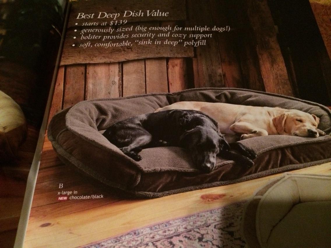 TippetUnleashed's tweet photo. They can buy it, but if they think I'm sharing it with Birdie, they have another think coming. #orvisdogbook http://t.co/JUxuQlFBZ1