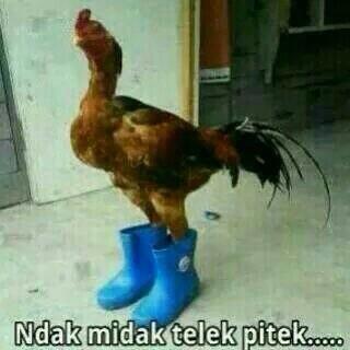wadefag's tweet photo. Ealah 😂 http://t.co/VvmiDGleJs