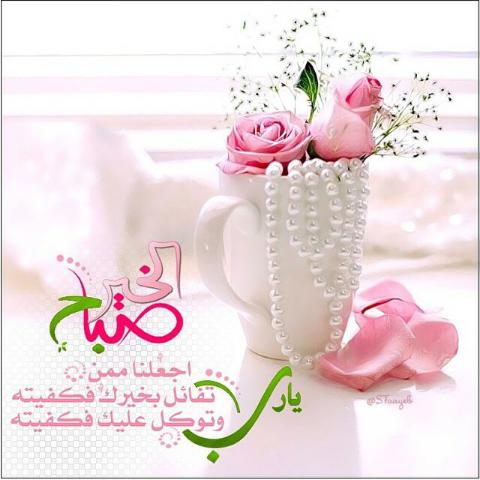 NgcnHaso's tweet photo. @fhdmansoor08 http://t.co/6gnhbie2bZ