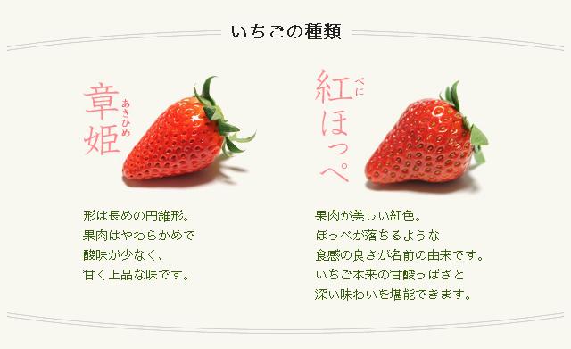 所沢なび 苺のマルシェ 所沢北田農園 昨年12月にオープンしたばかりの 小さなお子様目線でできる 観光いちご園 いちご狩り30分食べ放題 3歳以上10円 小学生以上1800円 公式hpは Http T Co Sizffw3zx7 Http T Co Akfuqsmp73