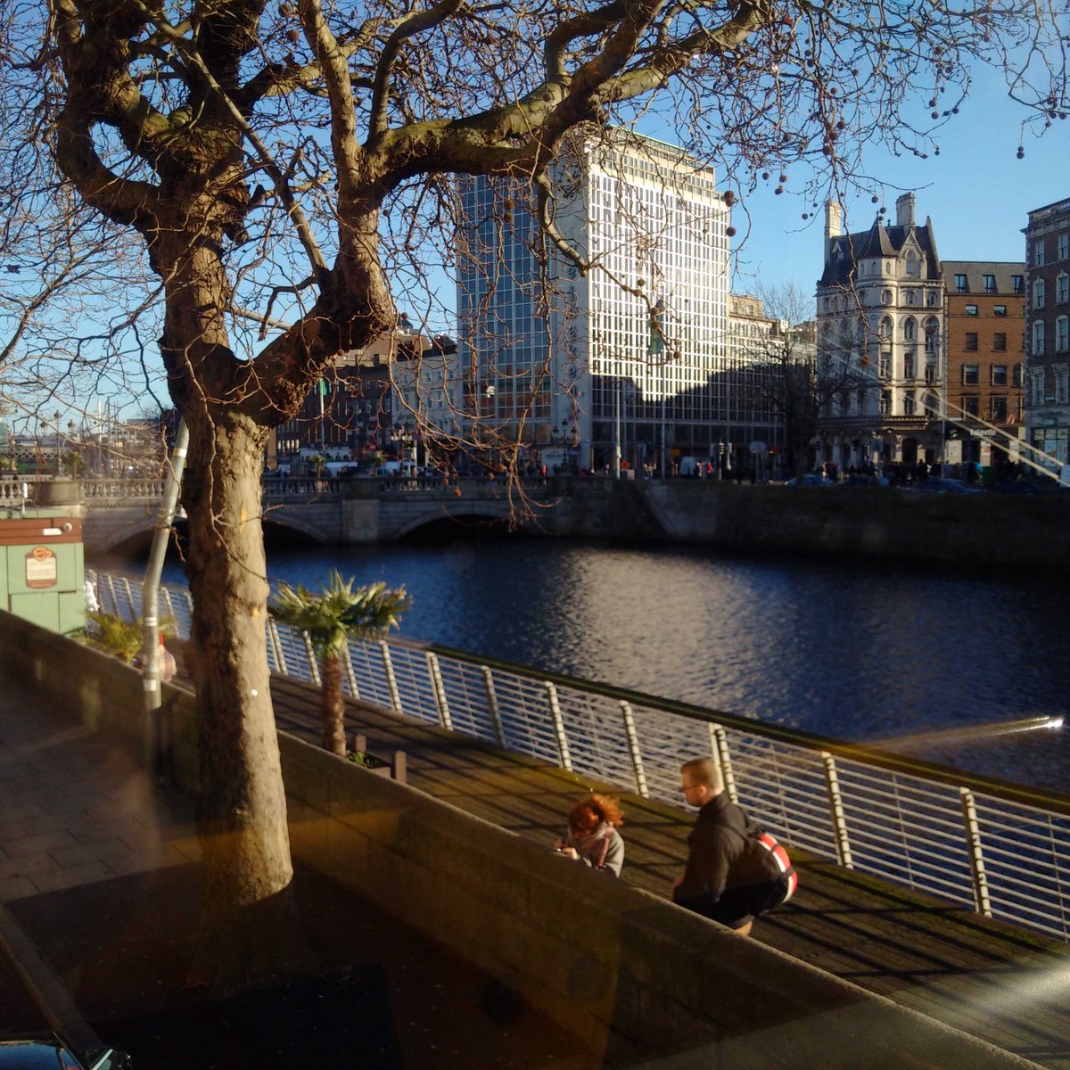 Chris Hadfield on Twitter "Palm trees along the Liffey in the January