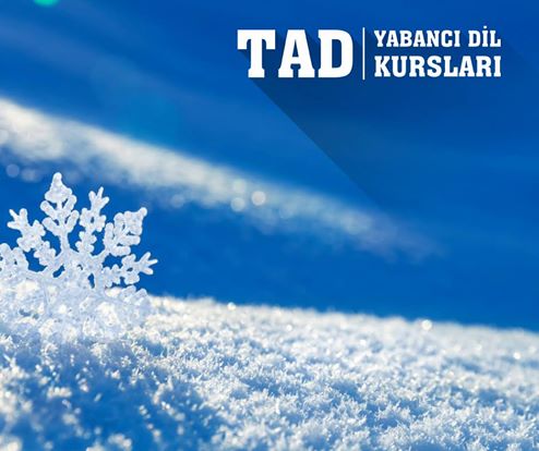 "Geleceğin İçin İngilizce" TAD Yabancı Dil Kursları'nda. <a href="/armada_avm/">Armada AVM</a>