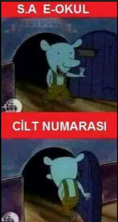 sysydhe's tweet image. 