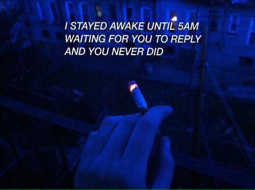 httpwxeed's tweet image. //