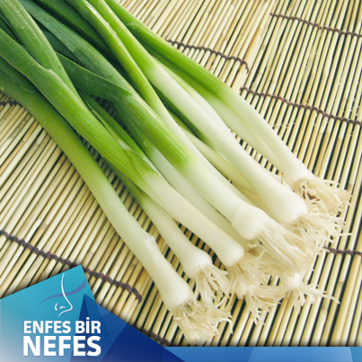 Kış aylarının en faydalı sebzelerinden pırasa böbrek kumlarını ve taşlarını dökmeye yardımcı olur.