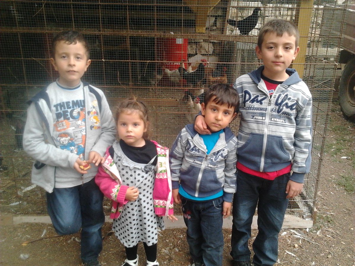 semihmeric tweet media