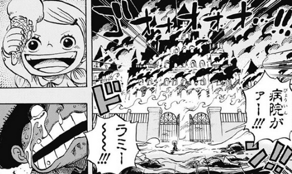 ワンピース トラファルガー ラミはローの妹 今も生きている 生存説を考察 大人のためのエンターテイメントメディアbibi ビビ