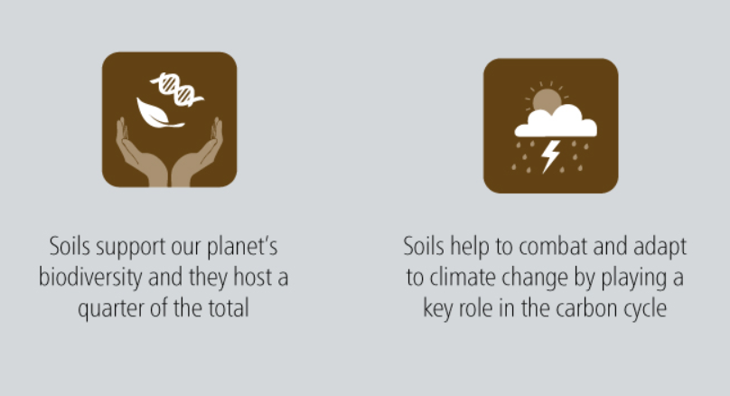 RT @UN_ClimateTalks: 2015 is the Int Year of Soils bit.ly/1wpKJpZ Also  relevant for #climatechange #IYS2015