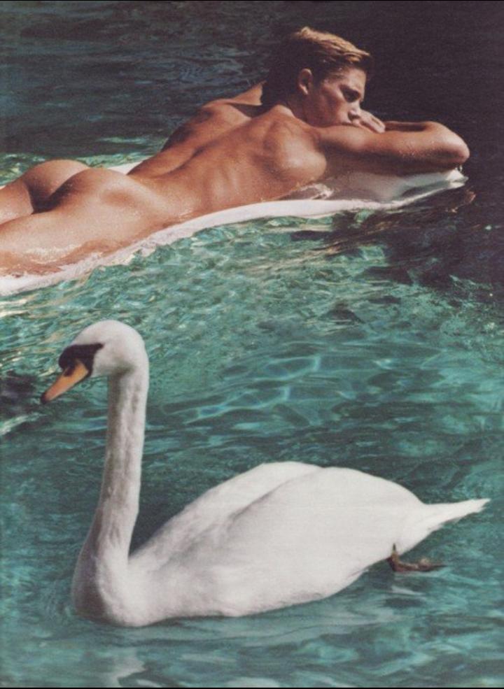 Bruce weber naked pictures, lisa rose porn slut