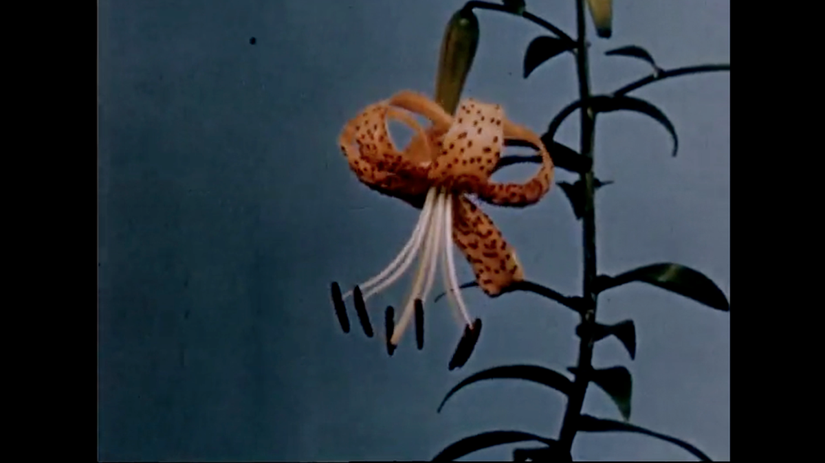 JANUARY PICK: A #firstlook at Sydney three-piece <a href="/MOVEMENTsounds/">MOVEMENT</a> (<a href="/modularpeople/">modularpeople</a>) bit.ly/1vZS3Y9