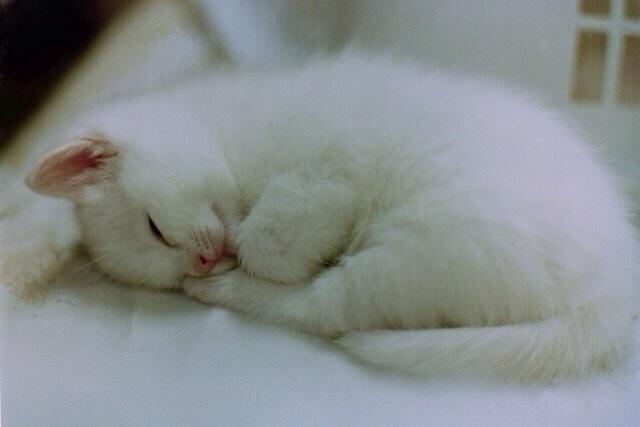 Dberry_sam's tweet photo. @sam_dumbell :) #키득키득 #꼬옥 http://t.co/o1lYUztFTu