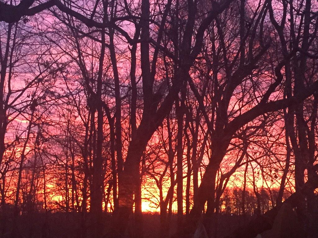 TanyaRiveraOn2's tweet image. I know it FEELS LIKE 27º right now in the Triad, but it LOOKS beautiful. #HowColdIsIt