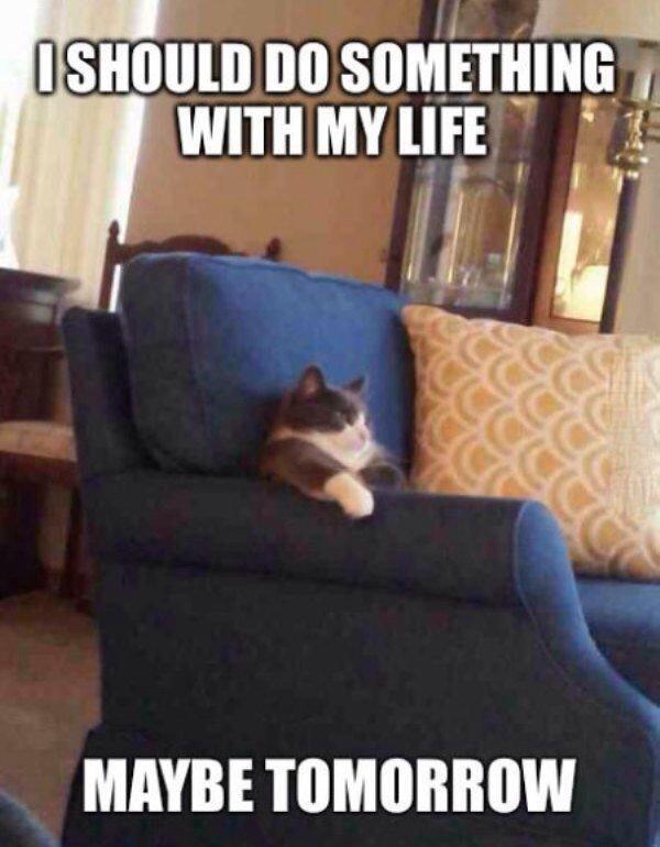 StumblerVideos's tweet photo. My thoughts everyday http://t.co/PA9zdjrQDr