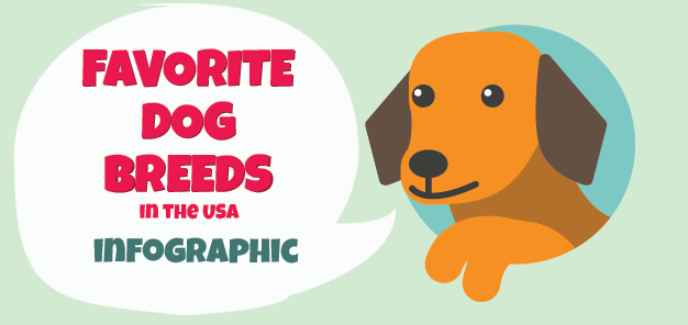 DogIdentifier's tweet photo. What's the most popular dog breed? Find out with the Top Dog Breeds in the USA infographic! http://t.co/YVHW0QKTlK http://t.co/P6gZgvso9M