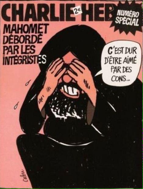 NTenzer's tweet photo. Emotion et tristesse infinies, respect absolu pour l'oeuvre que #CharlieHebdo a accomplie au service de la #liberté. http://t.co/7XL1hwaNUE