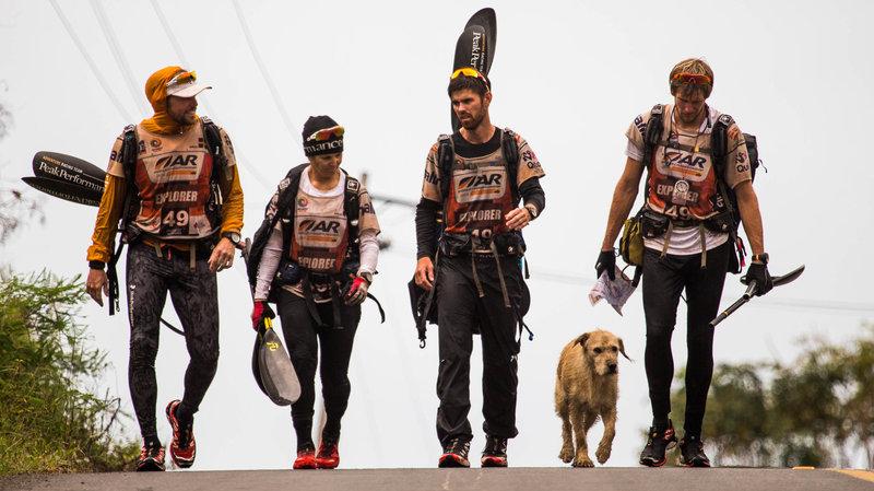 This Stray Dog Joined a Racing Team and Crossed the Finish Line with Them
somedaily.com/this-stray-dog…